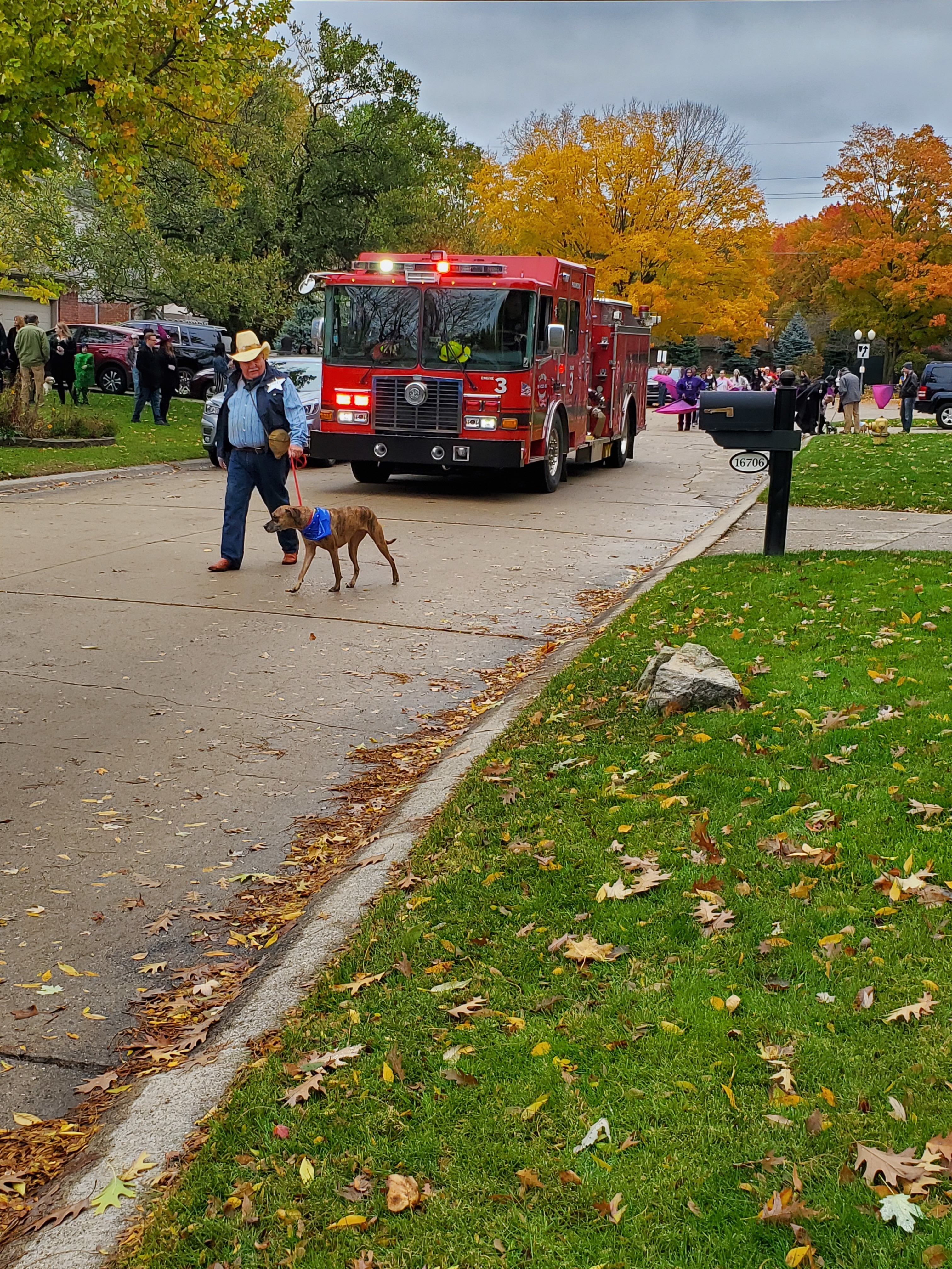 Parade Marshall